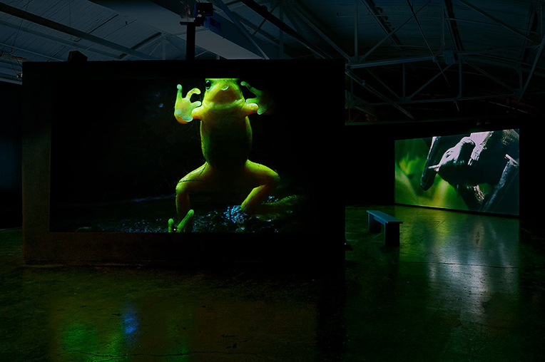 Screen on column in lobby showing water flowing over rocks